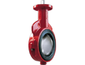 Butterfly Valve, Wafer, Gear, 8